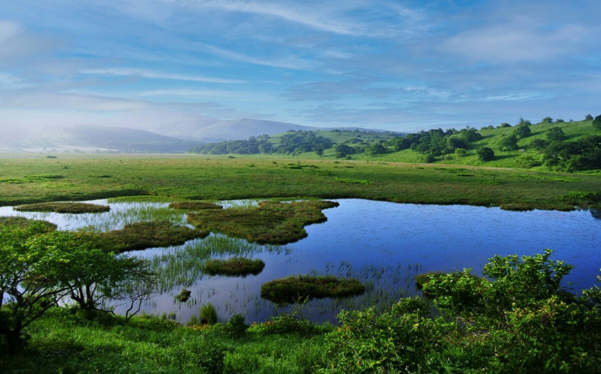 日帰りプラン 知られざる絶景 鷲ヶ峰 と 天空の箱庭 八島湿原 ハイキング コース番号pg236 Coubic 日帰りプラン 知られざる絶景 鷲ヶ峰 と 天空の箱庭 八島湿原 ハイキング コース番号pg236 Coubic