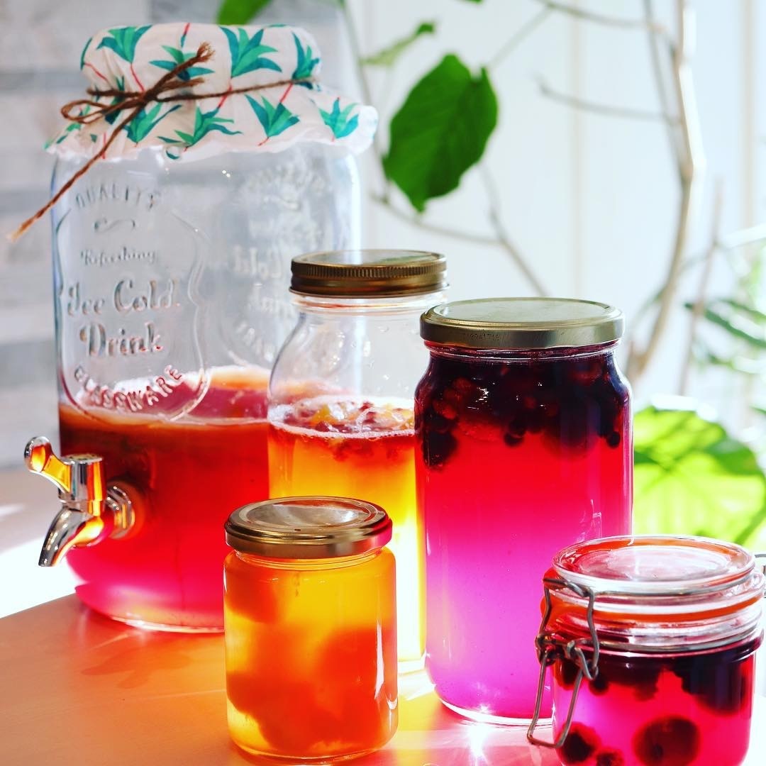 植物性発酵乳酸菌KOMBUCHA♡ 株分け・活用レッスン