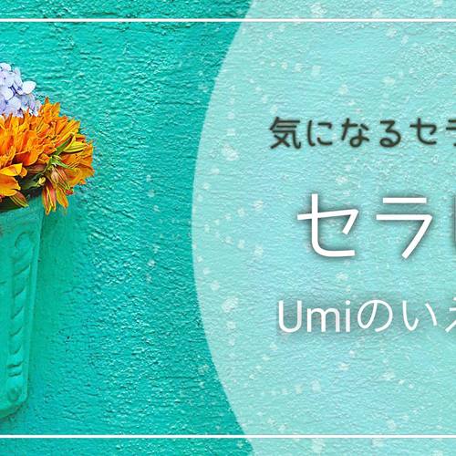 セラピー祭り