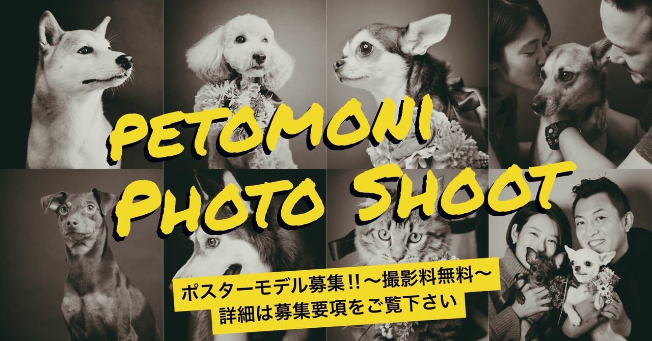 petomoniポスターモデル撮影会