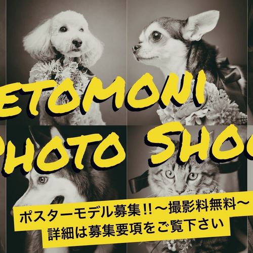 petomoniポスターモデル撮影会