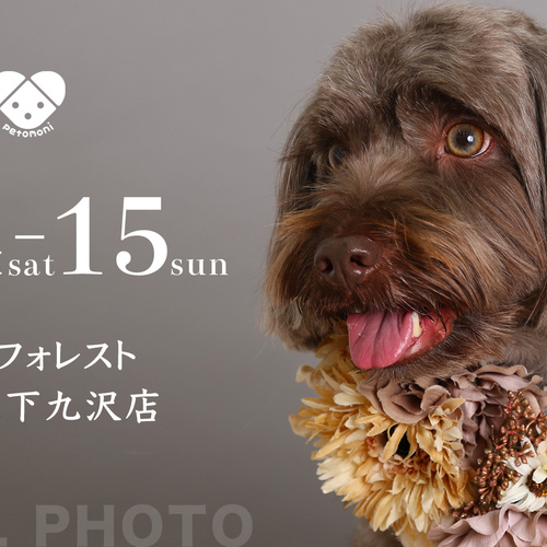 【PETFOREST 相模原下九沢店】12月14日・15日(土・日)撮影イベント