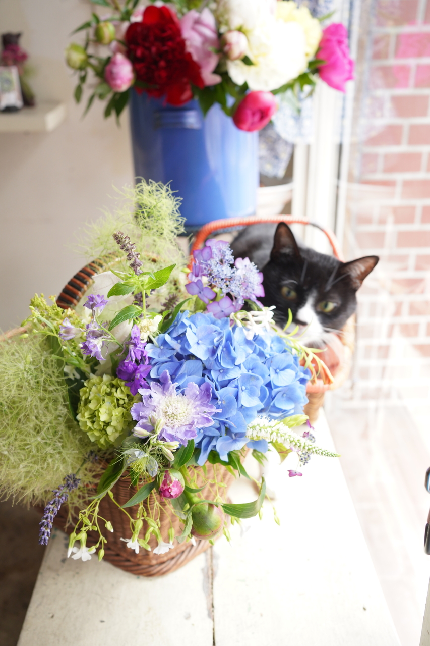 6月 Special Class 花束 6月を堪能 アジサイに芍薬に なんともエレガントな花束 Coubic