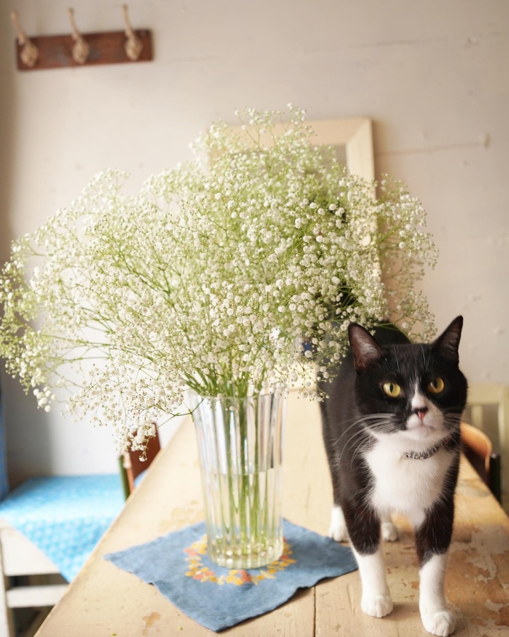 6月 もひとついかがですか お持ち帰り わっさり かすみ草の花束 Coubic