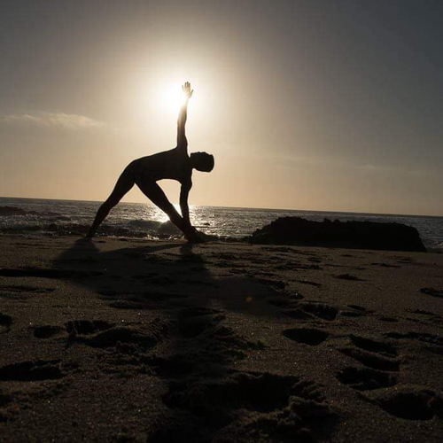 理学療法士から学ぶYOGA