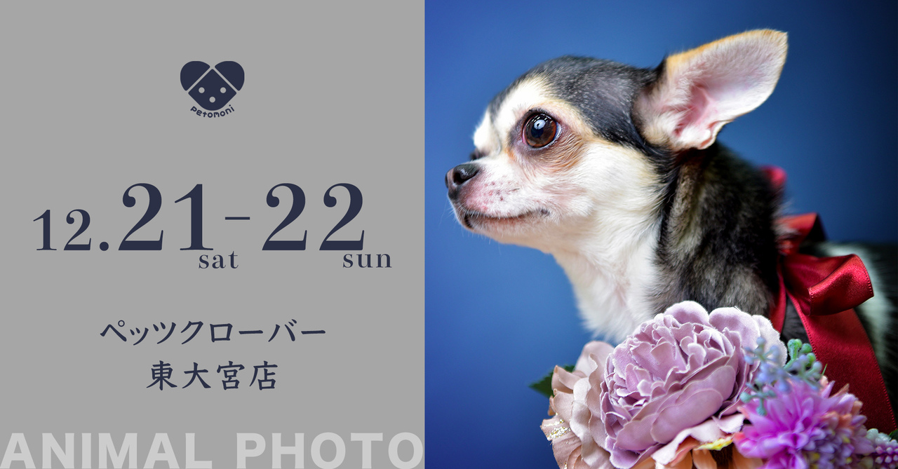 ジョイフル本田 Pet`s CLOVER 東大宮店 12月21日・22日(土・日)