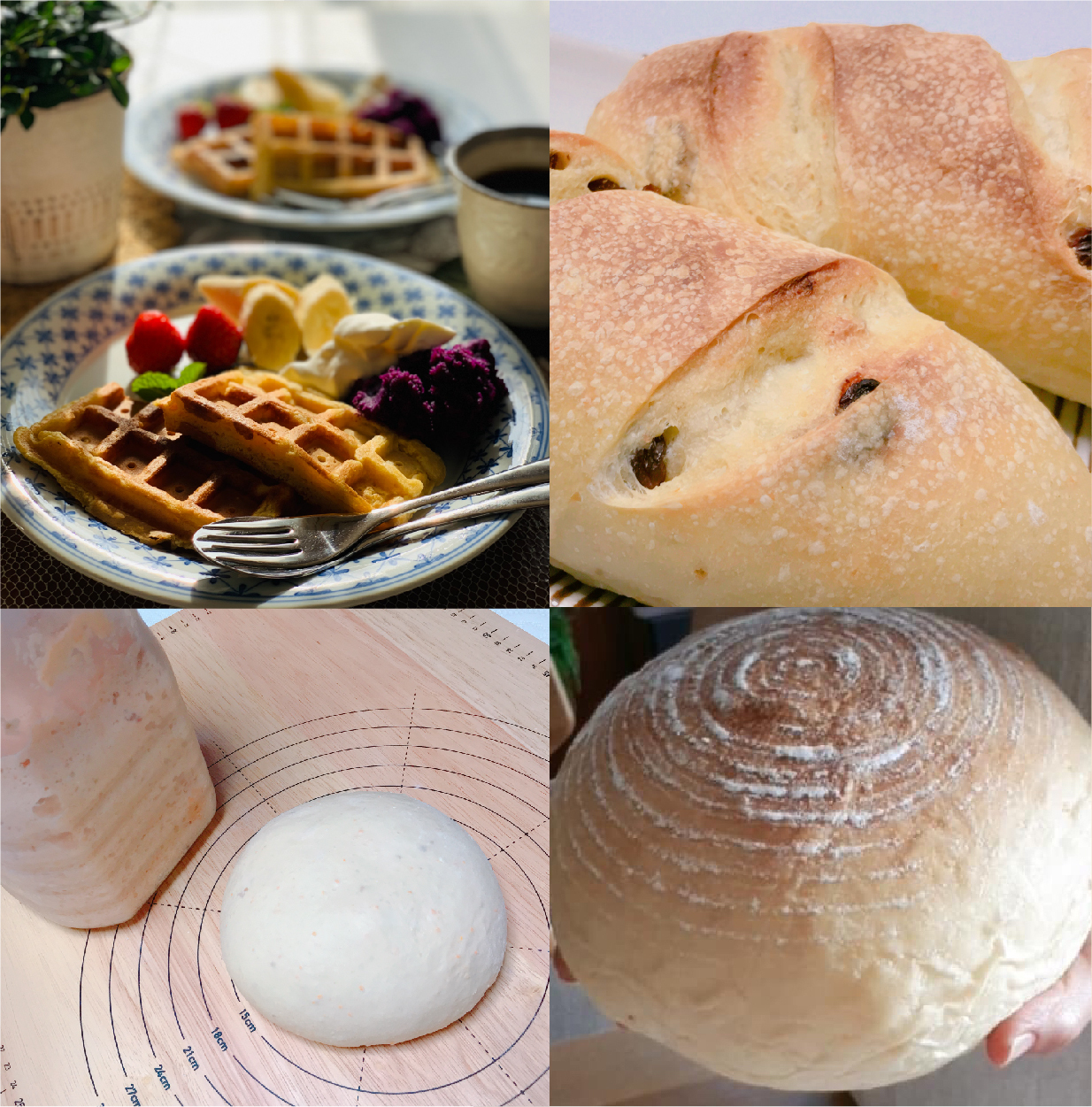 楽健寺天然酵母パン教室 Coubic