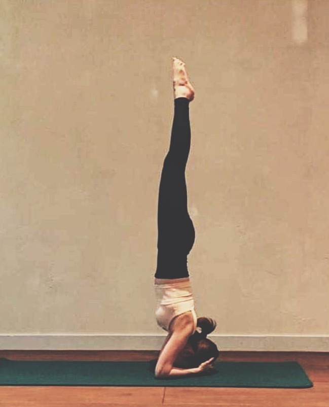 Lotus Pad Zuddha Lotus Yoga School の予約サービス Coubic