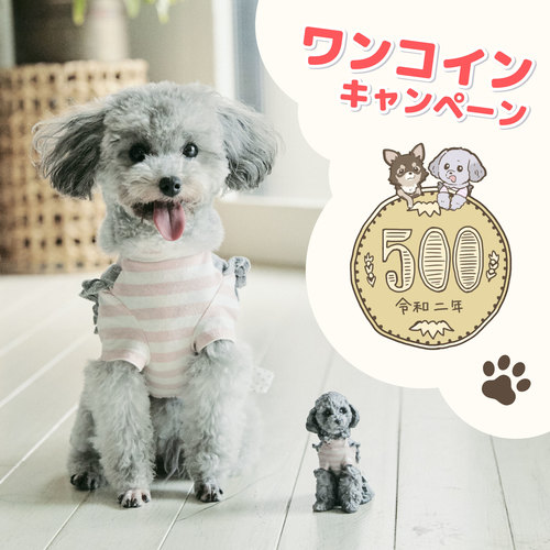 【ワンコインキャンペーン】新宿STUDIO