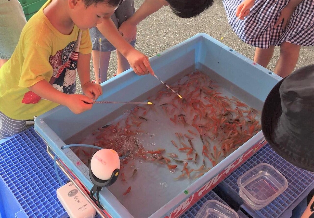 大田区蒲田 蒲田ファミリー納涼祭 金魚釣り 22年7月18日 月 Coubic 大田区蒲田 蒲田ファミリー納涼祭 金魚釣り 22年7月18日 月 Coubic