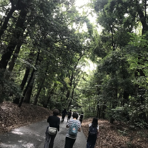 朝陽ウォーキング@明治神宮 9月20日(金)6:50〜8:00