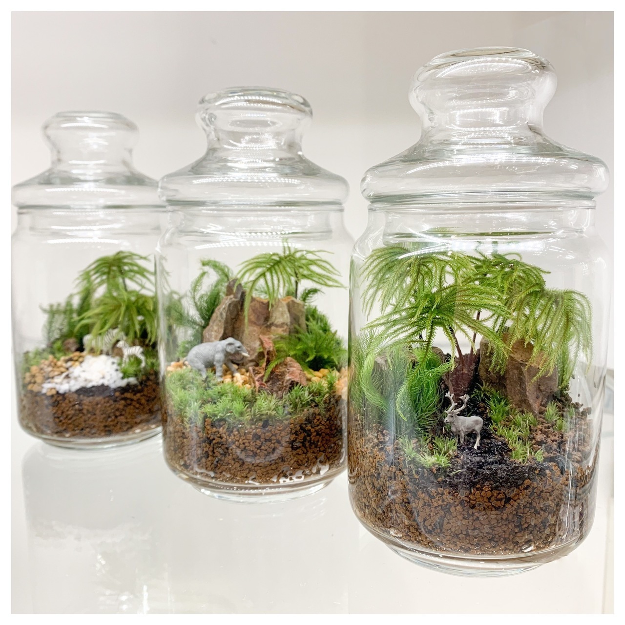 横浜三井アウトレット 苔のテラリウムワークショップ Feel The Garden Coubic