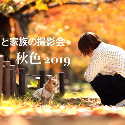 秋色愛犬撮影会2019