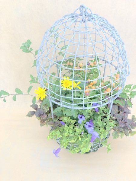 美しい花の画像 これまでで最高の10 月 植える 花 美しい花の画像 これまでで最高の10 月 植える 花