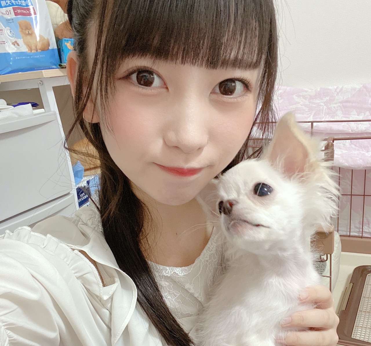 9 30 Japanarizm With ペット撮影会 髙木由莉愛 うゆくん 個人撮影会 Coubic