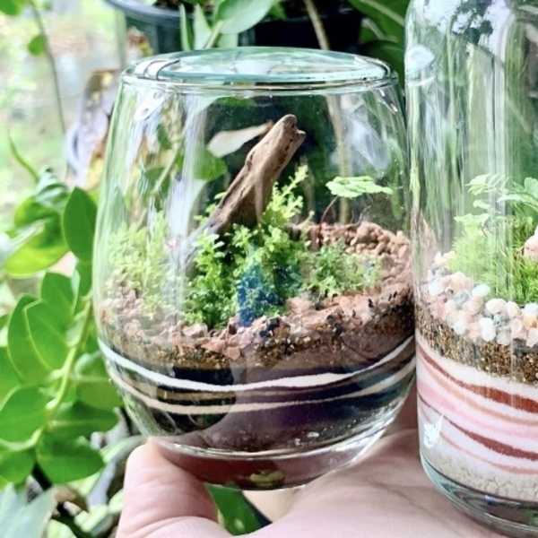 マルイ吉祥寺 グラスサンドアートの苔テラリウム Coubic