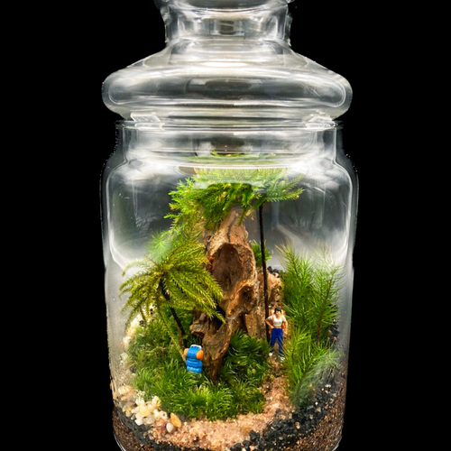 住友館　テラリウム 住友館 テラリウム 住友館 テラリウム square_76fb4c6f.jpeg