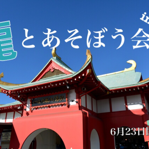 龍とあそぼう会〜in鎌倉