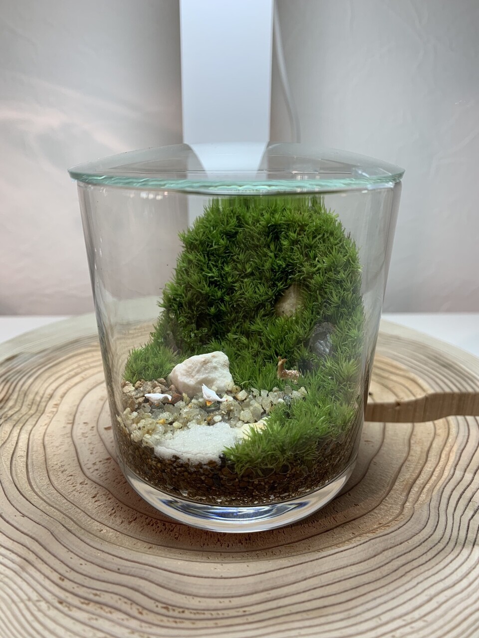松屋銀座 中級編 壁面緑化 苔のテラリウムワークショップ Coubic