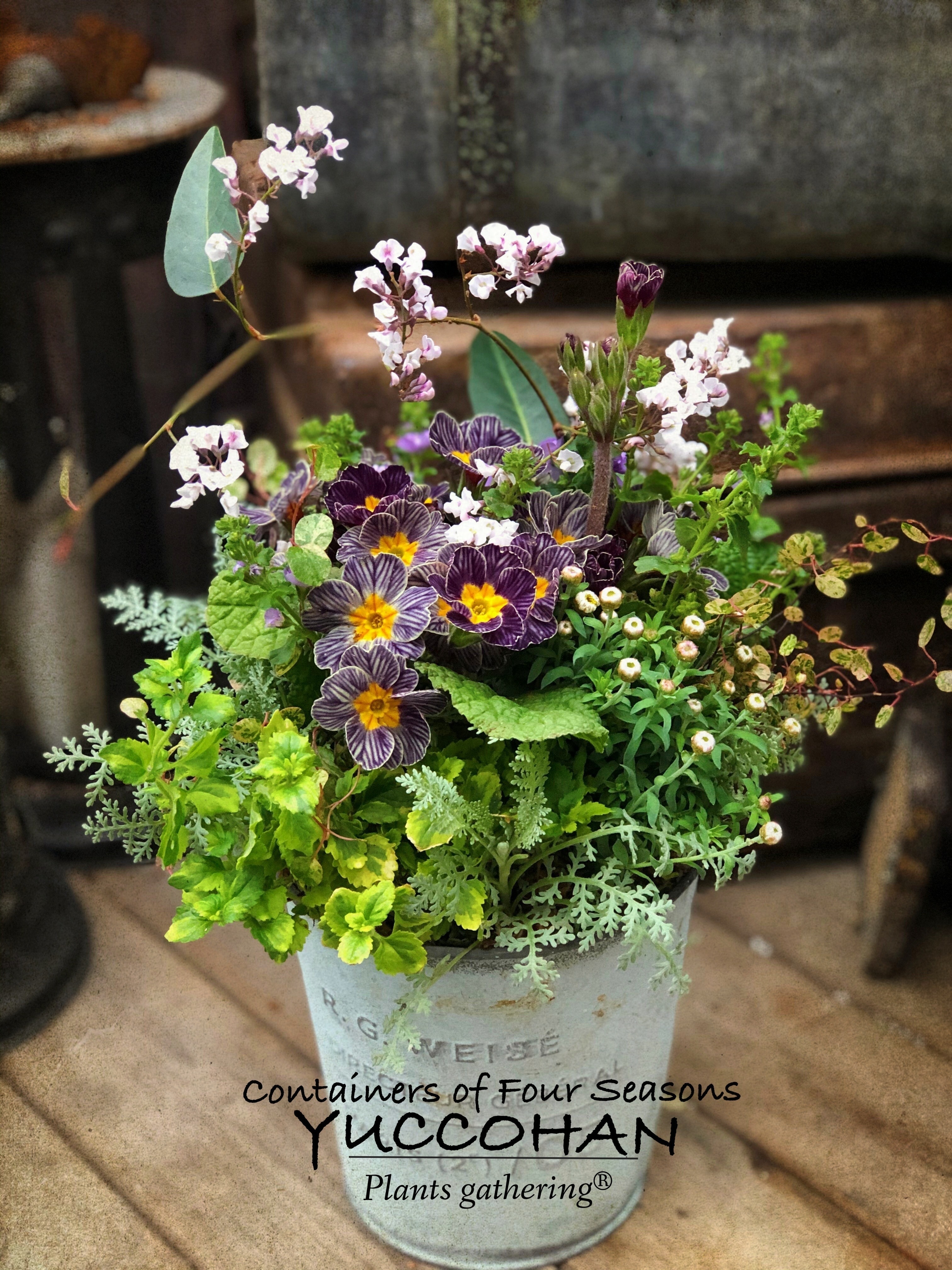 プランツギャザリング体験レッスン Coubic